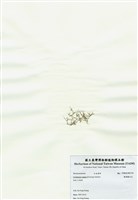 藏品(匍匐擬石花)的圖片